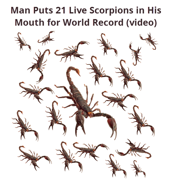 Man Puts 21 Live Scorpions In His Mouth For World Record Video